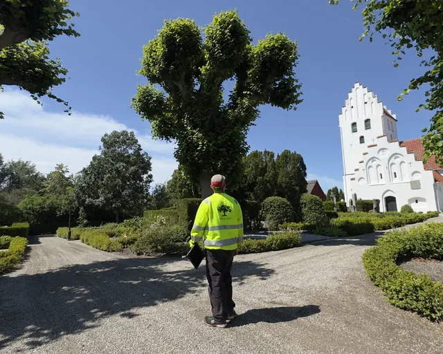 Arborist i varselkläder bland hamlade träd
