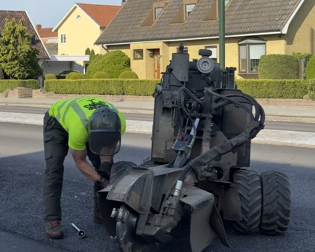 Arborist gör i ordning en stubbfräs på en villagata